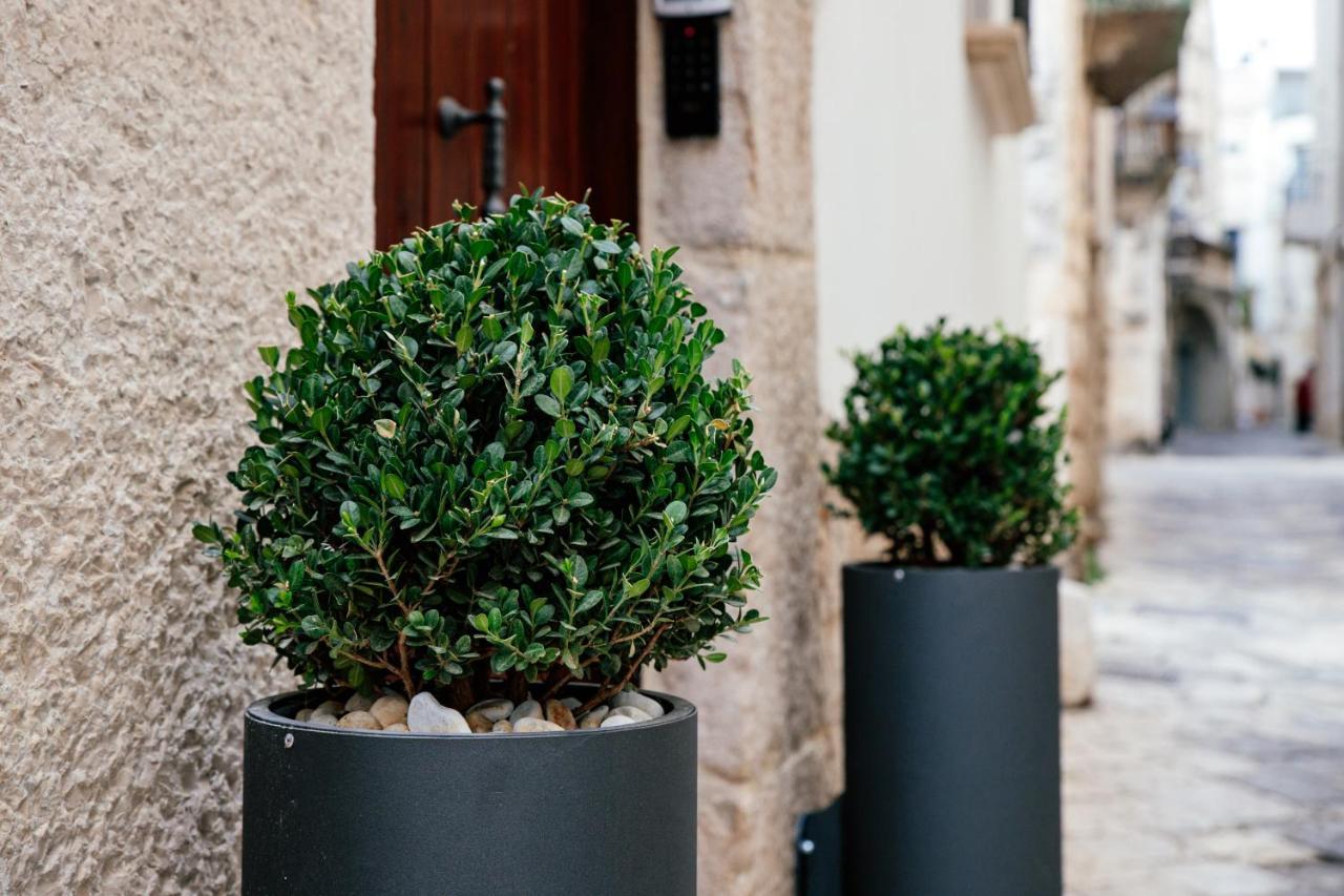 Bed And Breakfast Le Foglie Altamura Bagian luar foto
